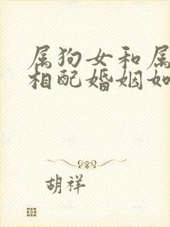 属狗女和属龙男相配婚姻如何