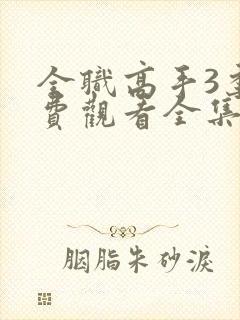 全职高手3季免费观看全集封面