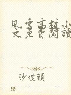 风云高校小说全文免费阅读