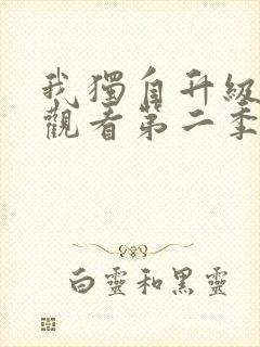 我独自升级在线观看第二季13集