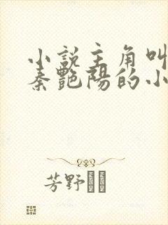 小说主角叫杨飞秦艳阳的小说免费阅读