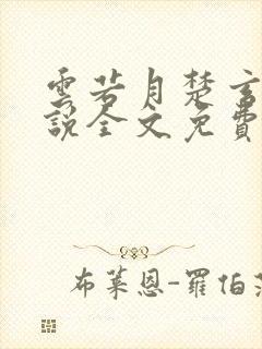 云若月楚玄辰小说全文免费阅读封面