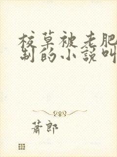 校草被老肥丑控制的小说叫什么