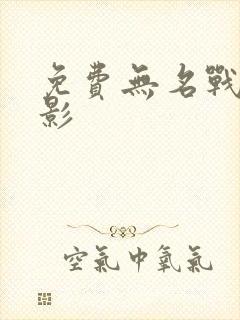 免费无名战士电影