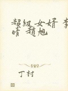 超级女婿 李晴晴 赵旭