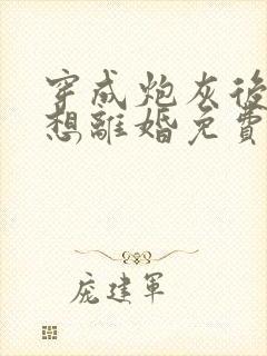 穿成炮灰后我只想离婚免费阅读