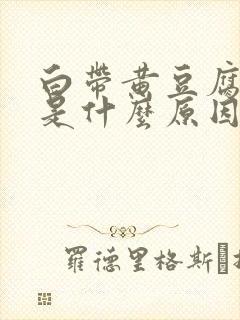 白带黄豆腐渣状是什么原因造成的