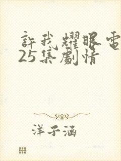 许我耀眼电视剧25集剧情