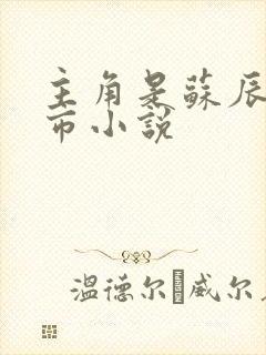 主角是苏辰的都市小说封面