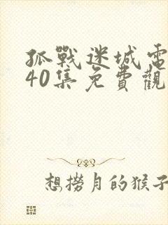 孤战迷城电视剧40集免费观看2024