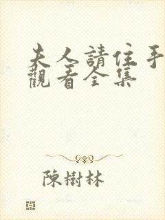 夫人请住手免费观看全集