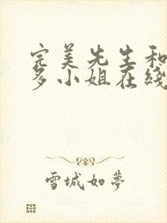 完美先生和差不多小姐在线观看