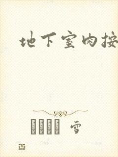 地下室肉按摩椅