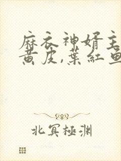 麻衣神婿主角陈黄皮,叶红鱼小说