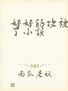 好好的攻被玩坏了小说封面