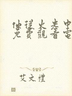 他从火光中走来免费观看电视剧全集封面