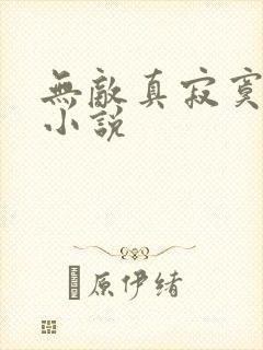 无敌真寂寞有声小说封面