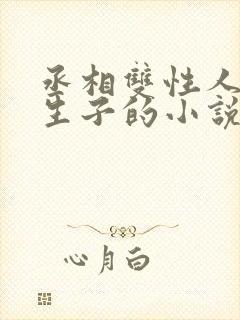 丞相双性人是受生子的小说封面