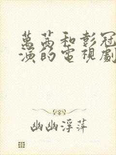 万茜和彭冠英主演的电视剧