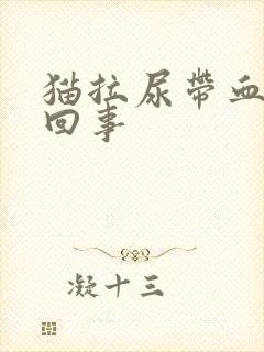 猫拉尿带血怎么回事