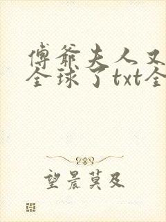 傅爷夫人又惊艳全球了txt全集下载