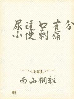 尿道口有分泌物小便刺痛