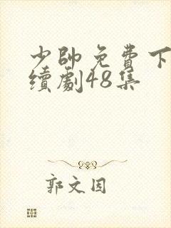 少帅免费下载连续剧48集