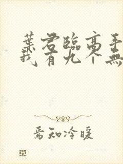 叶君临高手下山我有九个无敌师父