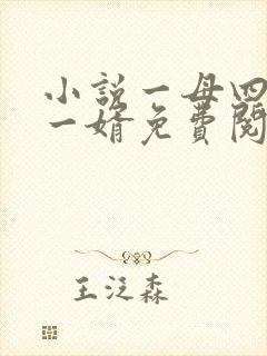 小说一母四女共一婿免费阅读