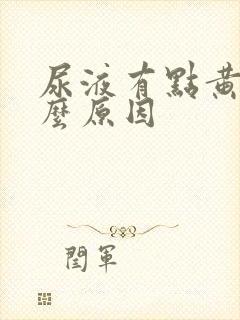 尿液有点黄是什么原因