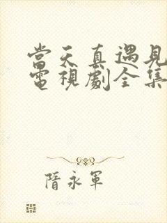 当天真遇见爱情电视剧全集免费