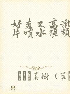 好爽又高潮了毛片喷水视频