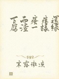 下面瘙痒还有豆腐渣一样绿色的分泌物