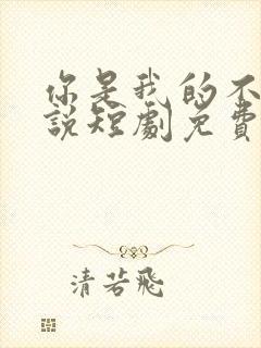 你是我的不可言说短剧免费播放全集