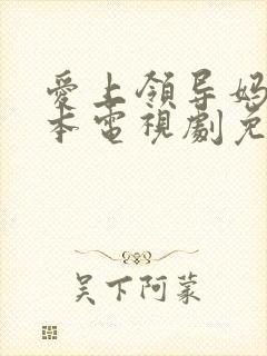 爱上领导妈妈日本电视剧免费观看