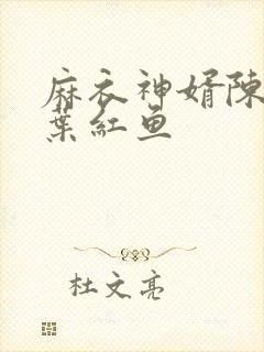 麻衣神婿陈黄皮叶红鱼