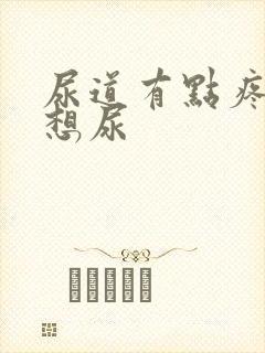 尿道有点疼总是想尿