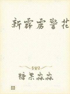 新霹雳警花封面