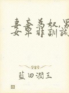 妻妾为奴,男尊女卑非训诫的小说