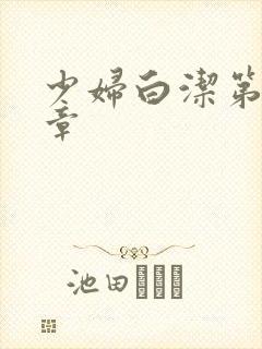 少妇白洁第27章封面