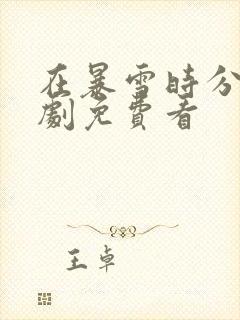 在暴雪时分电视剧免费看