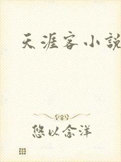 天涯客小说封面