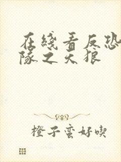 在线看反恐特战队之天狼