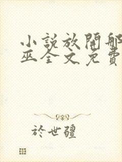 小说放开那个女巫全文免费看封面