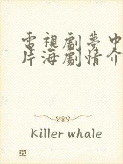 电视剧梦中的那片海剧情介绍