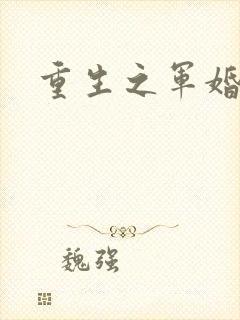 重生之军婚h封面