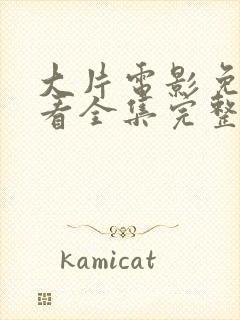 大片电影免费观看全集完整版封面