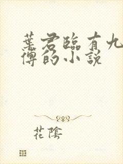 叶君临有九个师傅的小说