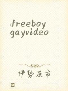freeboygayvideo
