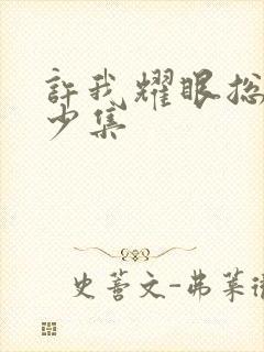 许我耀眼总共多少集